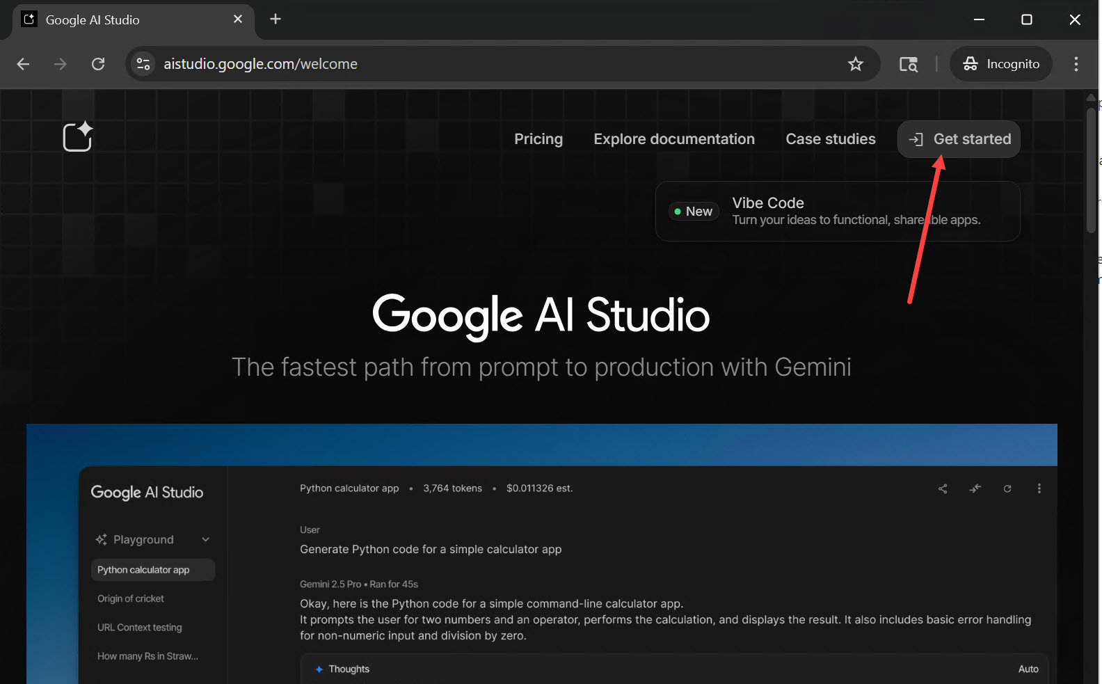 Google AI Studio